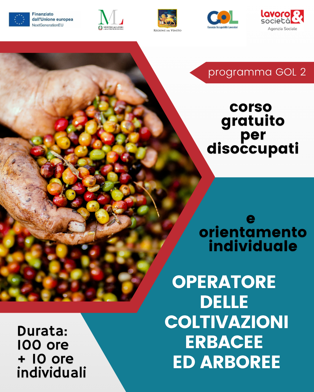 GOL percorso 2 - Formazione upskilling  mirata al profilo di Operatore delle Coltivazioni Erbacee ed Arboree