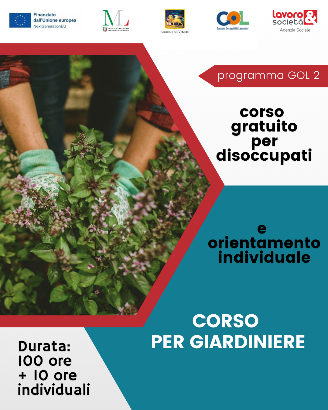 GOL percorso 2 - Formazione upskilling mirata al profilo di Giardiniere
